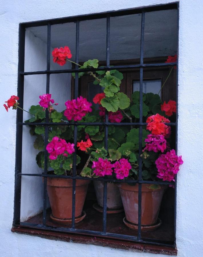 Casa Rural En Grazalema Esterno foto